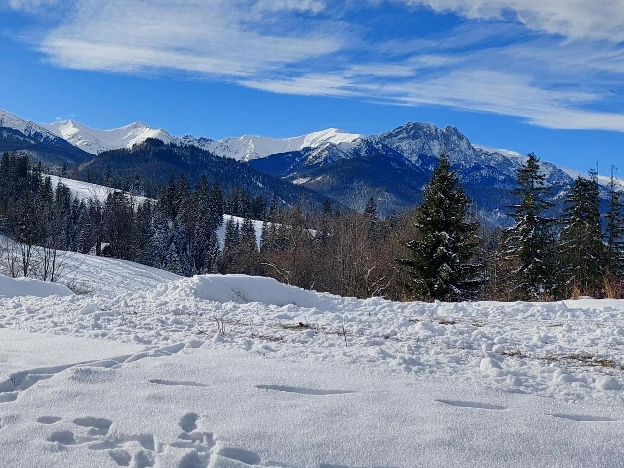 Апартаменты Tatrzanska Polana - Tatra Mountain View, Free Parking & Wifi Закопане Экстерьер фото